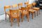 Beech Dining Chairs from Taverna Vecchia, Milan, 1930s, Set of 8 2