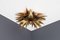 Aplique en forma de estrella en forma de palmera de latón de Maison Jansen, años 70, Imagen 1