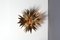Aplique en forma de estrella en forma de palmera de latón de Maison Jansen, años 70, Imagen 2