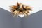 Aplique en forma de estrella en forma de palmera de latón de Maison Jansen, años 70, Imagen 5