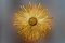 Lampada da parete grande Sunburst retroilluminata in legno dorato, anni '30, Immagine 4