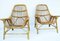 Vintage Italian Jungle Armchairs by George Coslins for Gervasoni, 1956, Set of 2 1