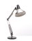 Architect Desk Lamp from Hala Zeist, Netherlands, 1960s, Image 6