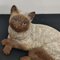 Vintage Ceramic Siamese Life Sized Cat Sculpture 10