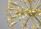 Mid-Century Dandelion Chandelier, 1950s, Image 3