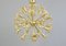 Mid-Century Dandelion Chandelier, 1950s, Image 1