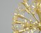 Mid-Century Dandelion Chandelier, 1950s, Image 7