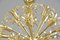 Lámpara de araña Dandelion Mid-Century, años 50, Imagen 6
