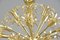 Mid-Century Dandelion Chandelier, 1950s 6