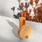 Orange-Orange Cochlea Della Metamorfosi 2 Soils Edition Vase by Coki Barbieri, Image 4