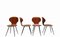 Teak Dining Chairs Carlo Ratti, Italy, 1950s, Set of 4 3