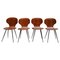 Teak Dining Chairs Carlo Ratti, Italy, 1950s, Set of 4, Image 1