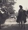 Fotografía en blanco y negro de Hanna Seidel, toro cebú colombiano, años 60, Imagen 2