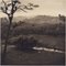 Hanna Seidel, paisaje colombiano con bosque, fotografía en blanco y negro, años 60, Imagen 1