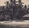 Hanna Seidel, Colombian Palm Trees on Beach, Black and White Photograph, 1960s 2