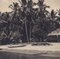 Hanna Seidel, kolumbianische Palmen am Strand, Schwarz-Weiß-Fotografie, 1960er 2