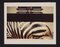 Peter Blake, Zebra, London Zoo, 1980, Chromogen Fotodruck 3