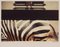 Peter Blake, Zebra, London Zoo, 1980, Chromogen Fotodruck 1