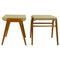 Mid-Century Austrian Beech Stacking Stools attributed to Roland Rainer, 1950s, Set of 2 1