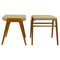 Tabourets Empilables Mid-Century en Hêtre, Autriche, 1950s, Set de 2 1