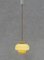 French Pendant Light in Opaline Glass, 1970 4