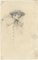 Sir Augustus Wall Callcott RA, possibile autoritratto, inizio XIX secolo, disegno di grafite, Immagine 2
