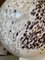 Sphère Blanc Laiteux en Verre de Murano avec Murrine Marron et Beige de Simoeng 2