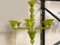 Lichtdurchlässiger Kronleuchter aus Muranoglas in Apfelgrün von Simoeng 10