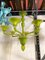 Translucent Apple-Green Murano Style Glass Chandelier from Simoeng 6