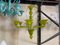 Translucent Apple-Green Murano Style Glass Chandelier from Simoeng 4