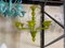 Translucent Apple-Green Murano Style Glass Chandelier from Simoeng, Image 4