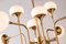 Santa Cruz Ceiling Lamp from BDV Paris Design Furnitures 2