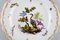 Antique Porcelain Plate with Hand-Painted Birds and Insects from Meissen 2