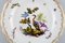 Assiette Antique en Porcelaine avec Oiseaux et Insectes Peints à la Main de Meissen 2