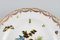 Antiker Porzellanteller mit handbemalten Vögeln und Insekten von Meissen 3