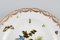 Antique Porcelain Plate with Hand-Painted Birds and Insects from Meissen, Image 3