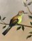 Artista italiano, Concierto de los pájaros, siglo XX, óleo sobre lienzo, Imagen 9