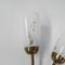 Vintage Wall Lamp with Tube Rods and 2 Glass Shades, 1950s 11