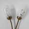 Vintage Wall Lamp with Tube Rods and 2 Glass Shades, 1950s 12