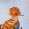 Bird of Paradise #1 Hand Embroidery Pillow by Com Raiz, 2018, Image 7
