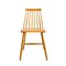 Pinnstol Stühle aus Birke, 1960er, 3er Set 3