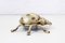 Vintage Bronze Ladybug Ashtray, 1960s 3