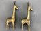 Large Brass Donkey Statues, 1950s, Set of 2 1