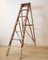 Antique Spanish Wooden Ladder, 1920s 3