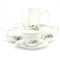 Coffee Set from Porcelain Factory Bogucice, Poland, 1960s, Set of 15, Image 11