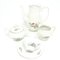 Coffee Set from Porcelain Factory Bogucice, Poland, 1960s, Set of 15 5