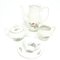 Coffee Set from Porcelain Factory Bogucice, Poland, 1960s, Set of 15, Image 5