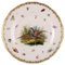 Antique and Meissen Porcelain Plate with Hand-Painted Birds and Insects 1