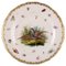Assiette Antique en Porcelaine de Meissen avec Oiseaux et Insectes Peints à la Main 1