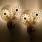 Crystal and Brass Flower Wall Lights from Palwa, Germany, 1965, Set of 2 7